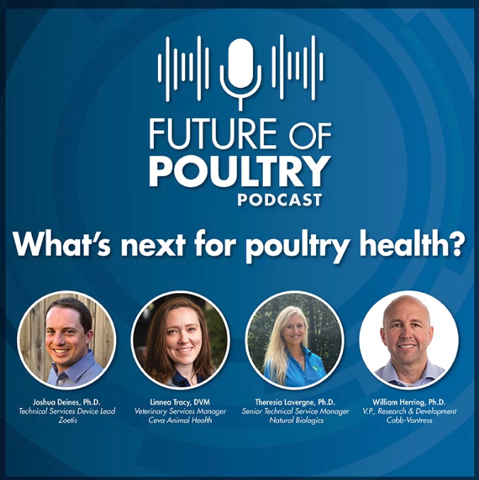 The Future of Poultry Health podcast launched